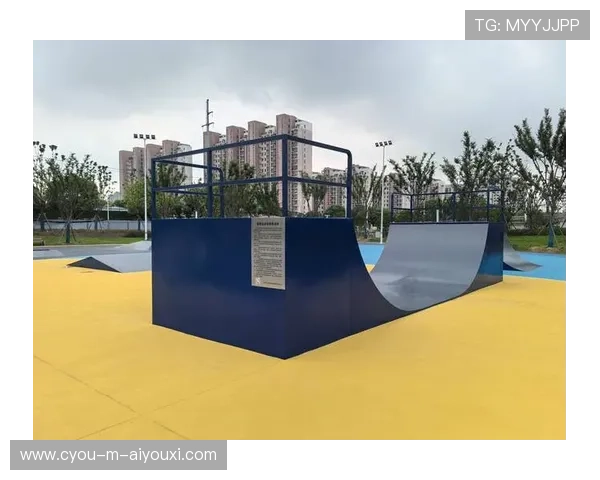 世界滑板学校与城市合作建设标准训练场地，世界滑板比赛