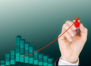 爱游戏app-中国篮球后卫技术细节提升策略研究，篮球后卫基本功