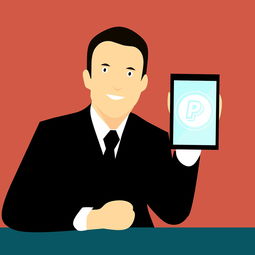 爱游戏app活动-中国篮球联赛品牌建设策略与粉丝经济发展研究，中国国内的篮球联赛简称