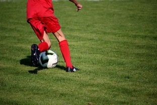 爱游戏平台-中国篮球职业联赛俱乐部青训体系建设与实践探索，篮球青年训练营