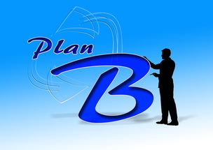 爱游戏体育-中国篮球职业俱乐部财务风险控制研究，篮球俱乐部企业组织结构图